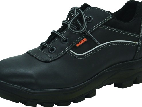 Werkschoenen Archieven Hanssen Footcare