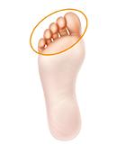 Onderzijde van de voet - tenen