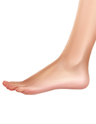 Zijkant van de voet
